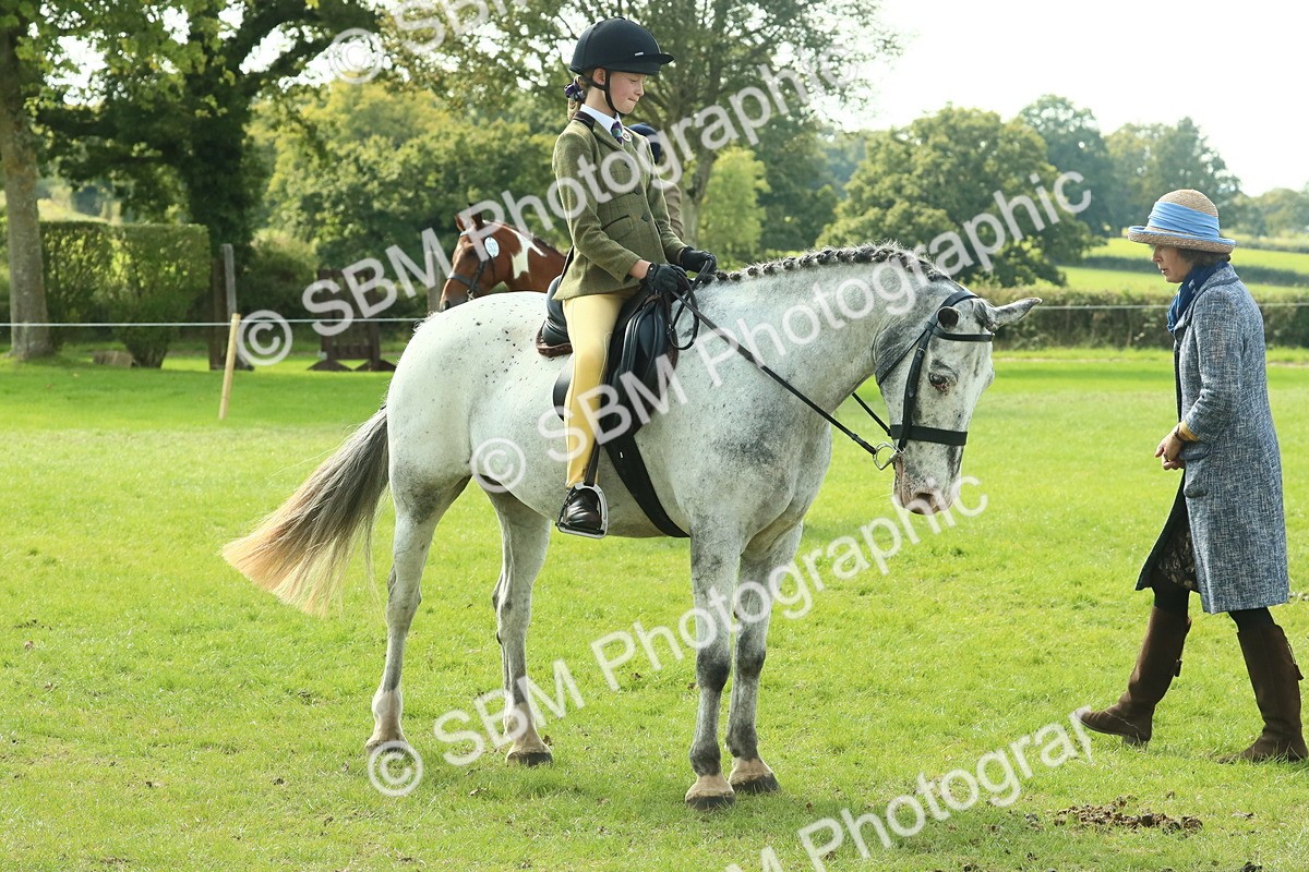 SBM_67529 - S56 - Coloured Pony Ridden