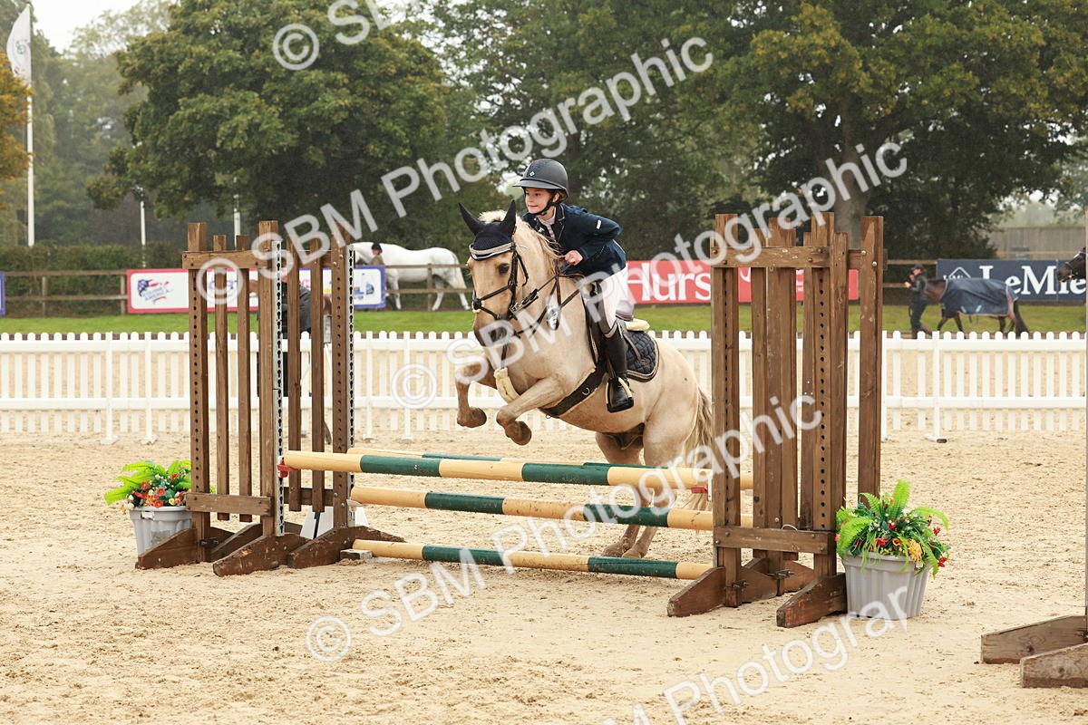 SBM_73297 - Supreme Championship Junior Pony 60cm & 65cm