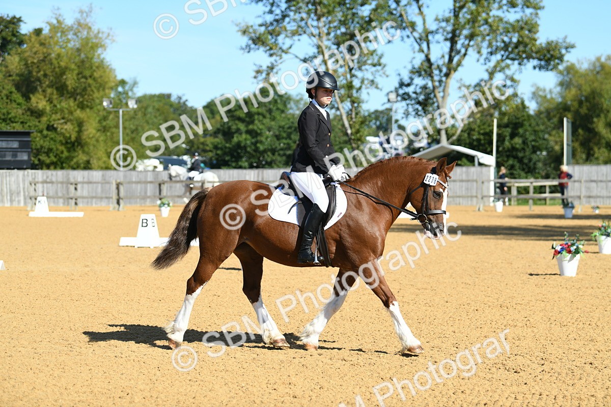 SBM_18013 - D4 - Small Tour Championship - Intro B