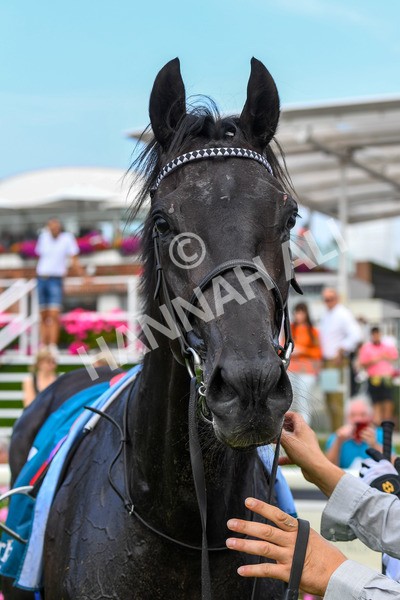 100923-Race 2-Florida-0578 - Race 2 2.15pm John And Judith Marshall Memorial Handicap