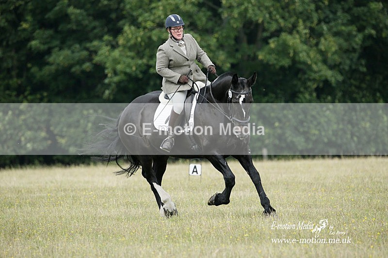 BVRC 030721 42 - Bourne Valley Riding Club Dressage 03/07/21
