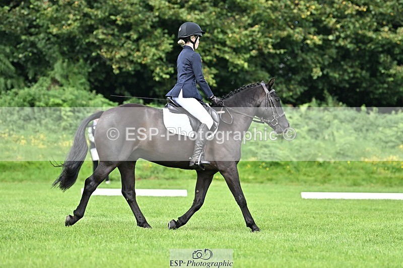 230826-121229-18294 - PC70 Plus