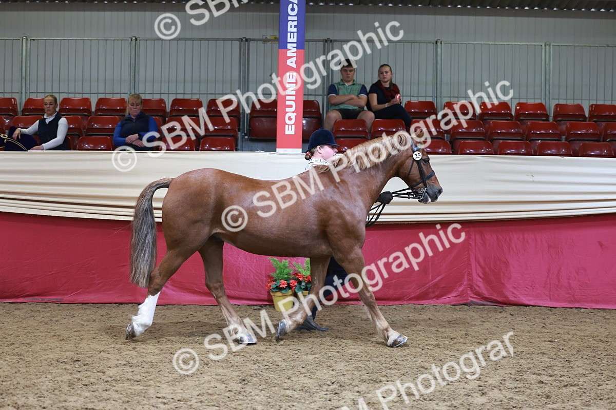 SBM_17434 - Class 951 - M&M IH Supreme Final