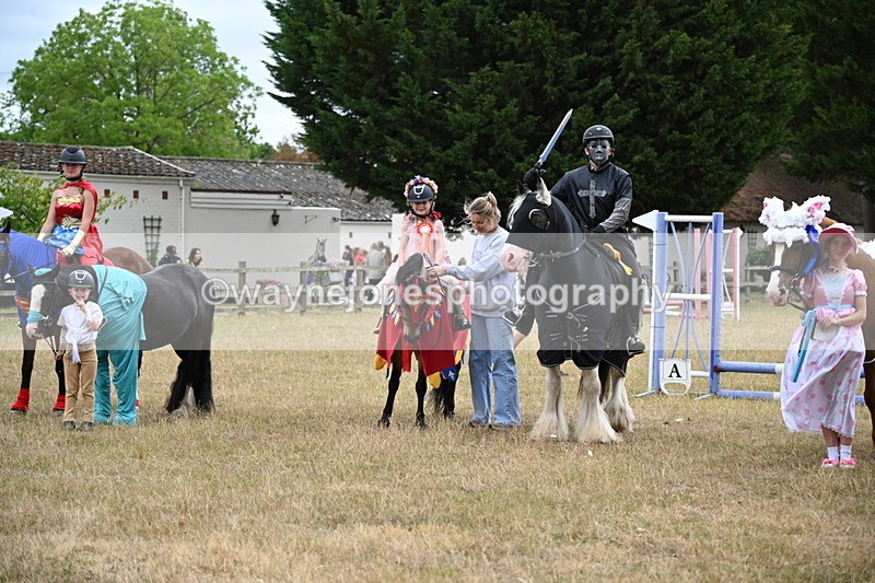 WJ6_9254 - Class 11 Fancy Dress