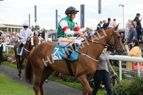 yr19082022r5-10 - Race 5 4.10pm Assured Data Protection EBF Fillies' Stakes