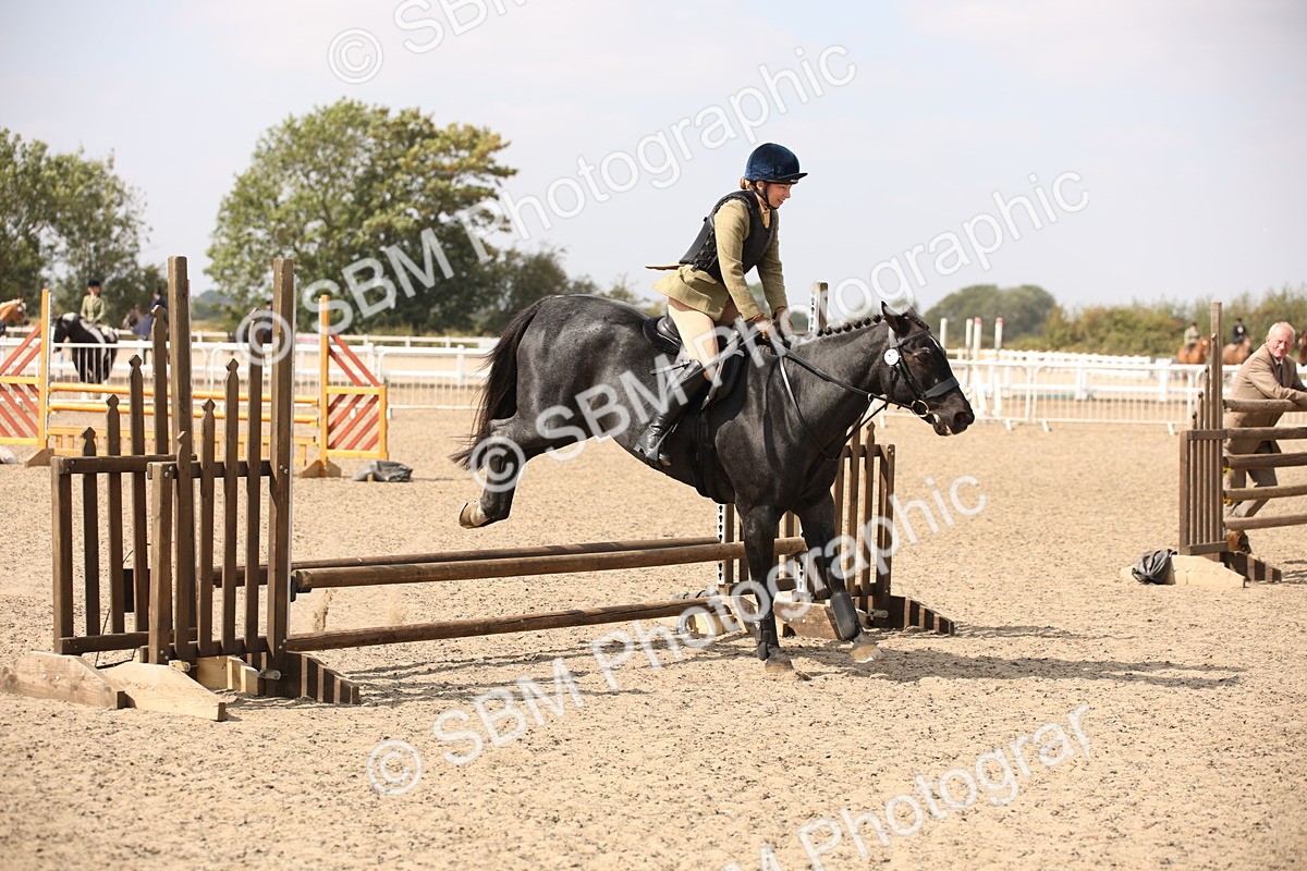 SBM_14327 - Class 407b - Working Veteran 60cm (20+)