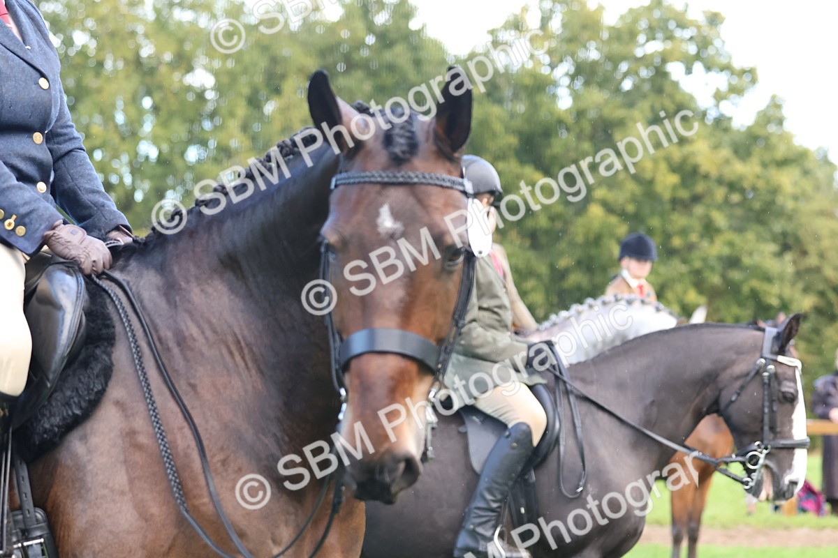 SBM_36884 - S11 - Best Ridden Horse & Pony