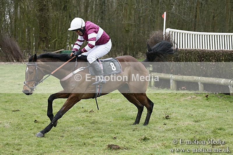 PtP 110318 67 - Hampshire Hunt Point-to-Point Hackwood Park 11/03/18