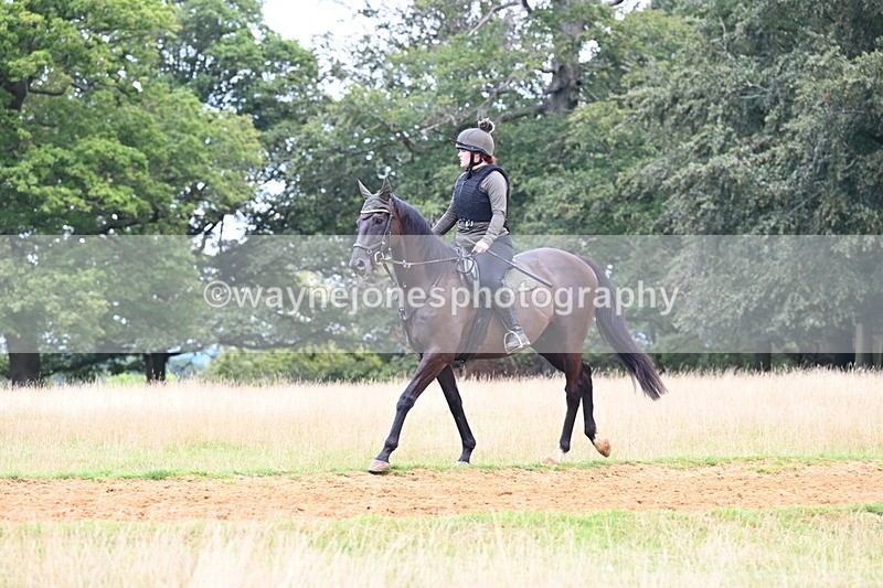 DSC_8538 - Time at Statue 13:52 to 14:33