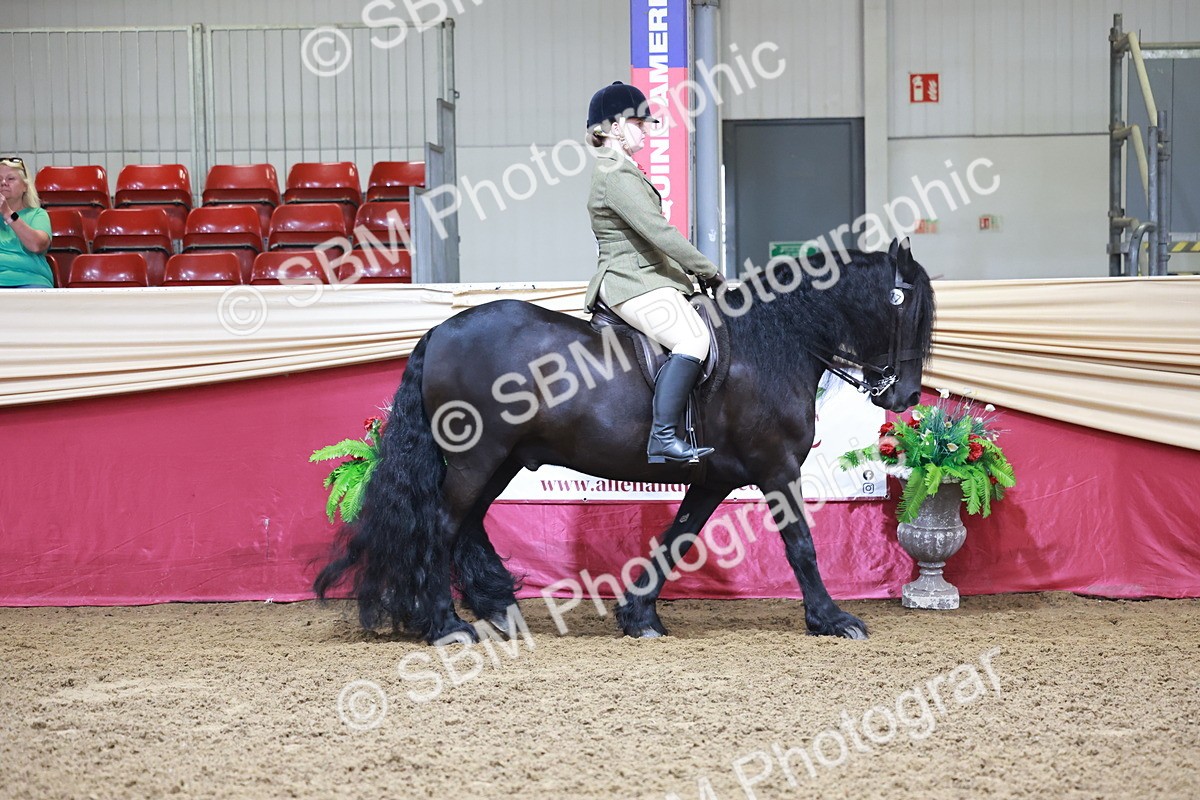 SBM_11790 - Class 102 - Equitation (Best Rider) Adult