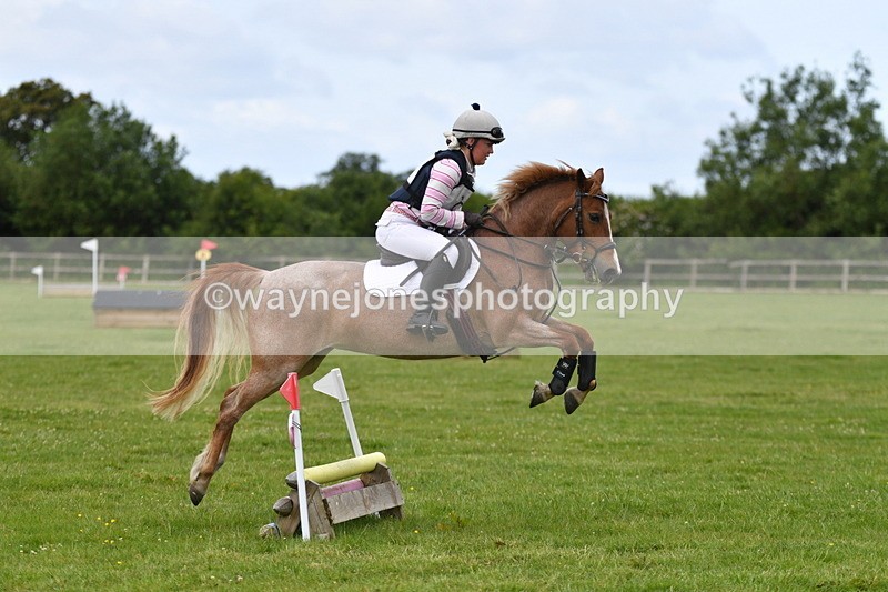 WJ5_2510 - Class 2 40cm