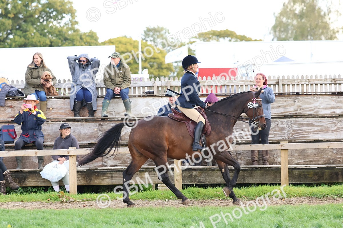 SBM_47651 - S28 - Veteran Ridden