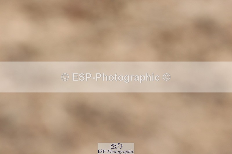 250622-110653-15004 - Cls 47 Novice 5, Start to 11.30am