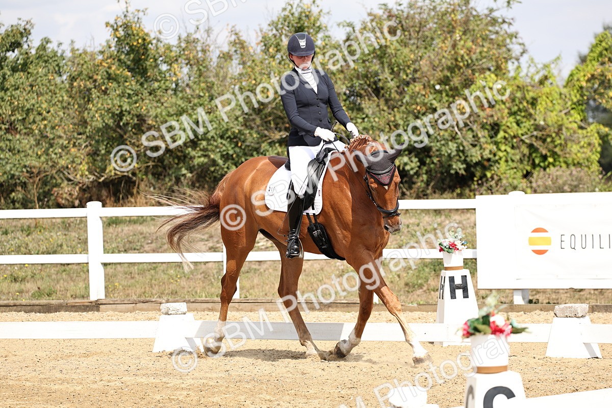 SBM_018358 - Class 16 - Novice 5 - 11.12-12.01