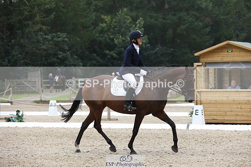 230812-122712-04012 - Cls 5 Novice Bronze 11.15 to 12.50 break