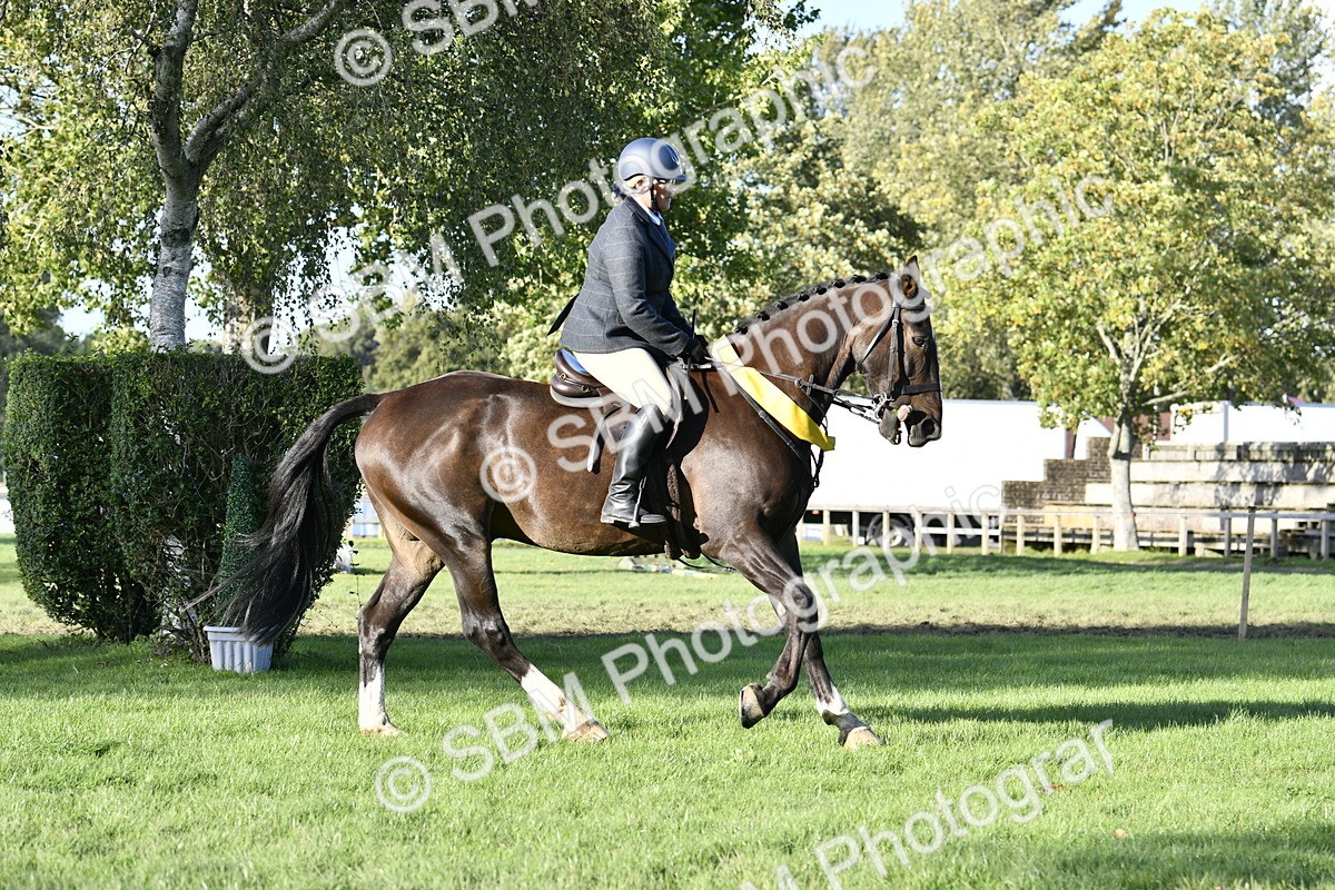 SBM_51707 - Working Hunter Supreme Championship