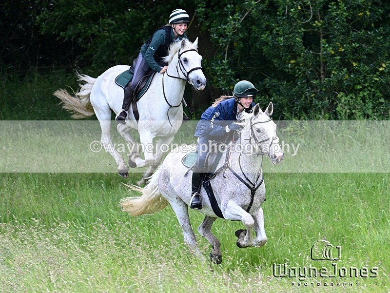 WJ7_8604 - Edited examples