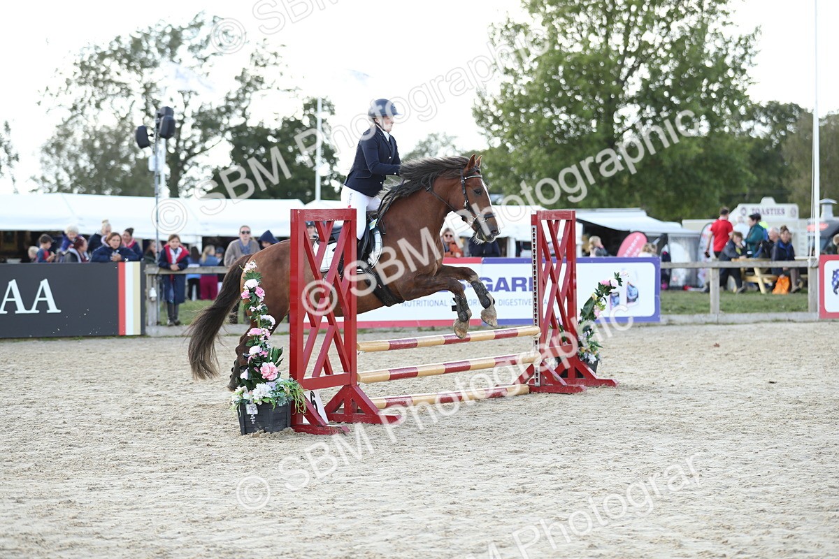 SBM_49522 - J22 - Junior Horse 65cm Championship