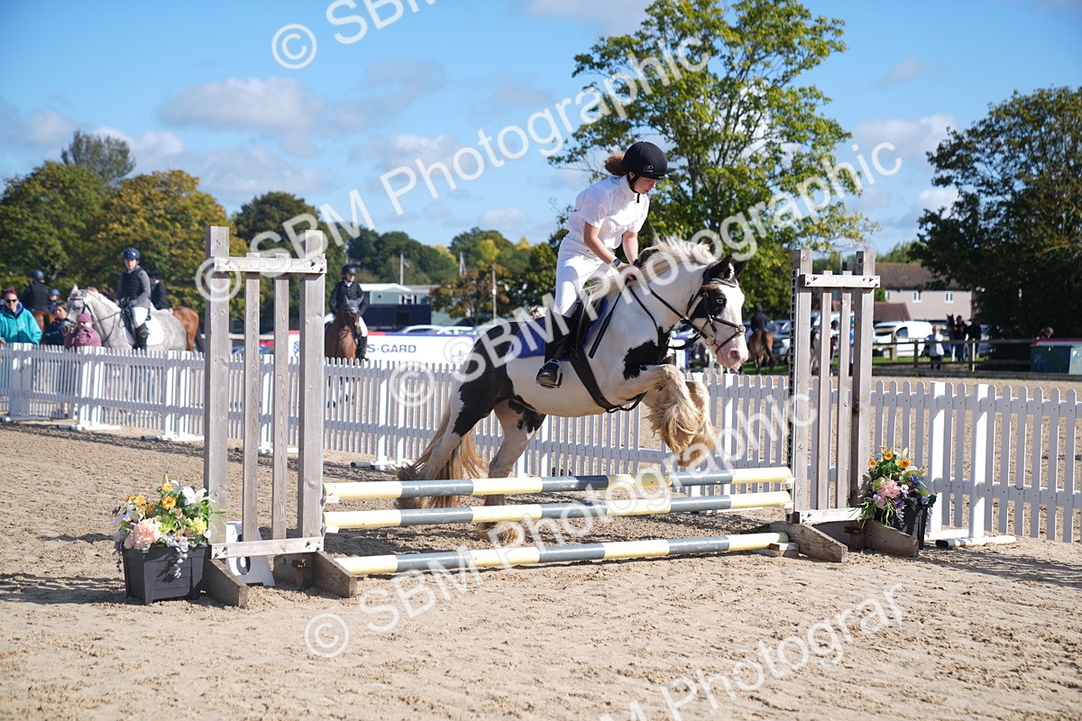 SBM_02366 - J54 Clear Round 45cm