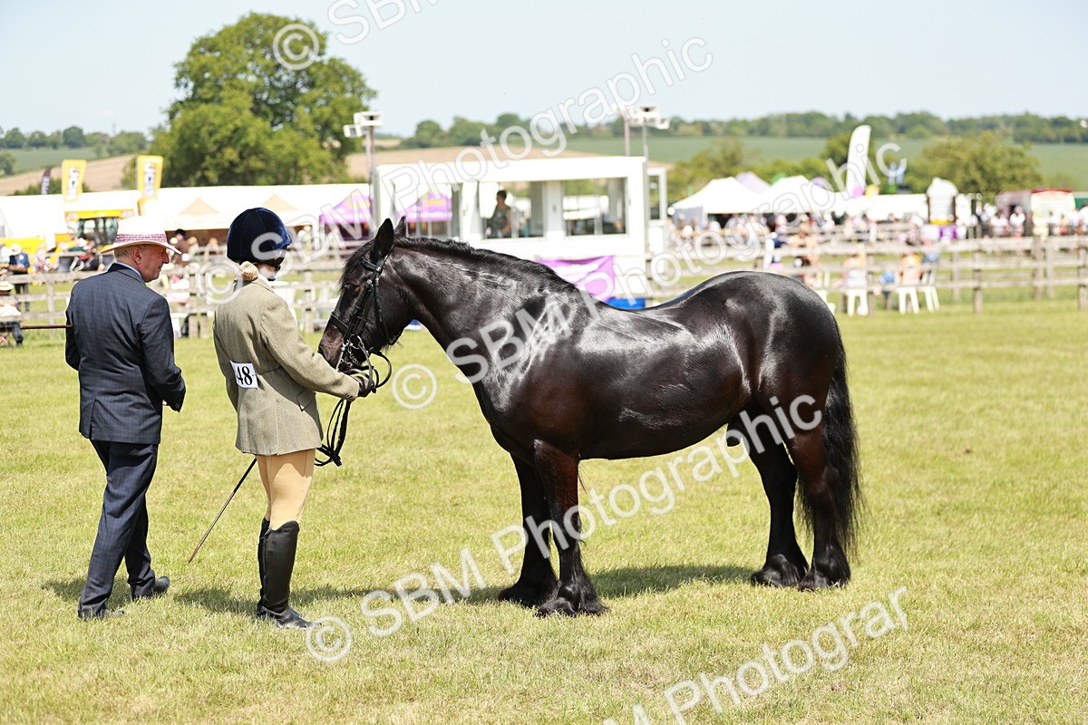 SBM_07181 - Class 26-30 - Mountain and Moorland Ridden