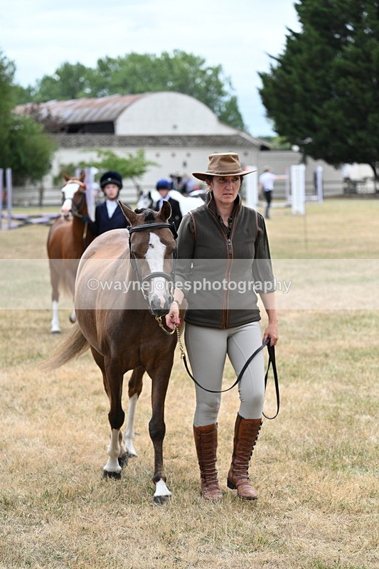 WJ7_1408 - Class 4 Prettiest Mare up to 14.2hh in hand