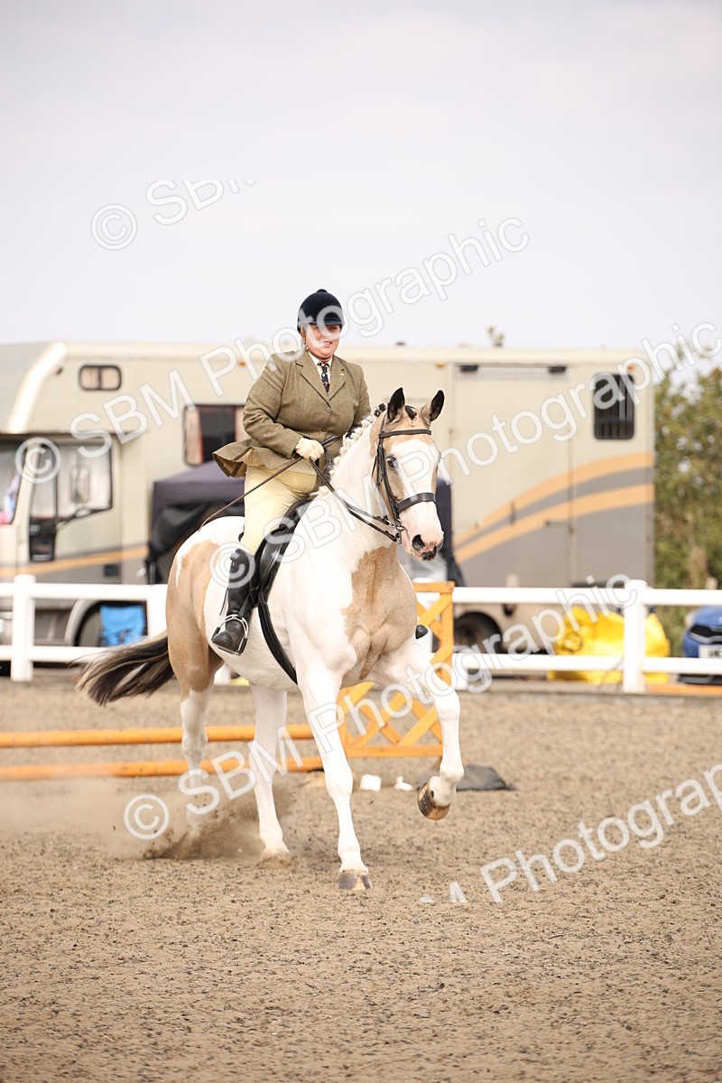 SBM_12920 - Class 406a - Working Veteran 50cm (15-19)