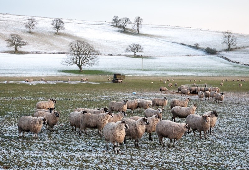 Manor Farm, dusk - Wenlock Edge