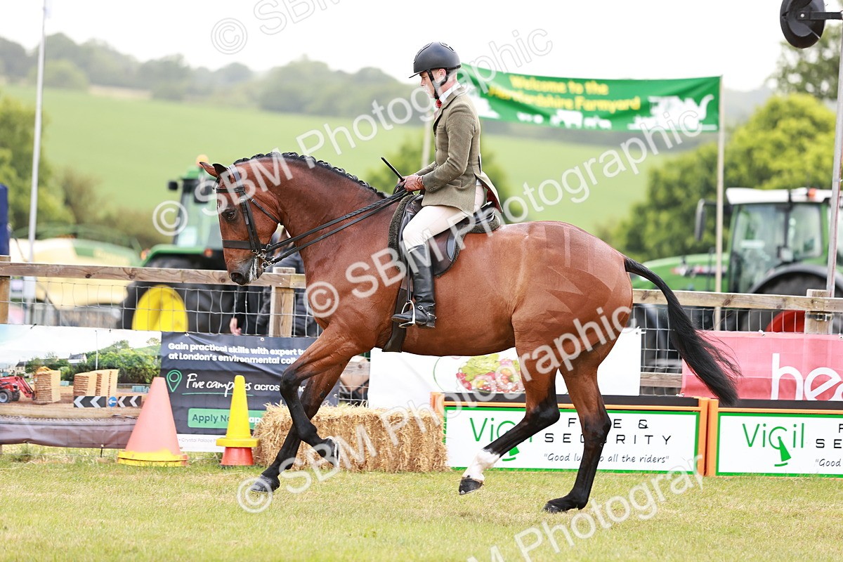 SBM_10777 - Class 81-84 - RIHS Ridden hunters Inc Ladies Hunter