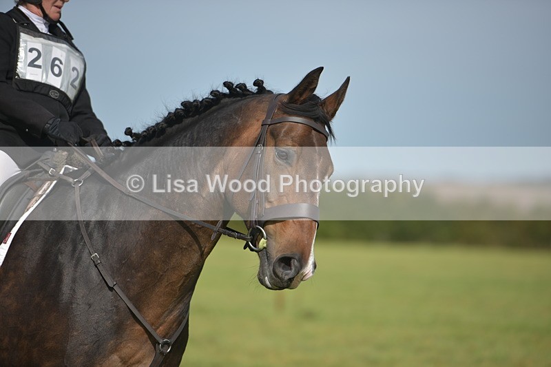 RAY_7966 - Class 2B: Trekenning Open: Dressage