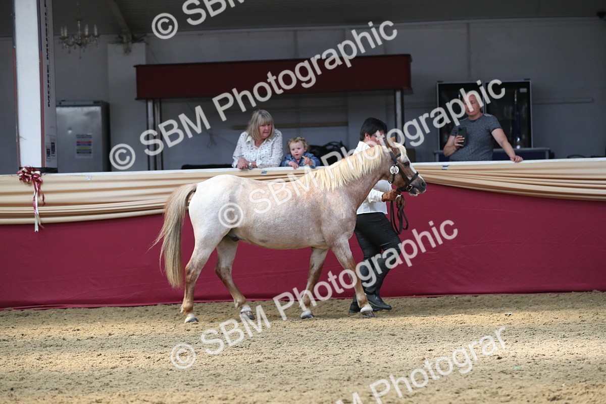 SBM_15265 - Class 501 M&M IH Supreme Final