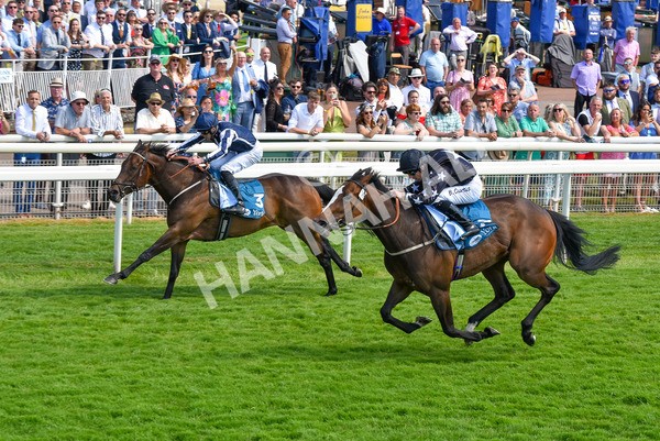 160623-Race 3-Radio Goo Goo-6239 - Race 3 3.00pm British EBF Supporting Racing With Pride Fillies' Handicap