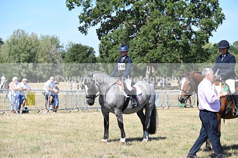 WJ6_8461 - Class 37a Best Loan Pony Ridden