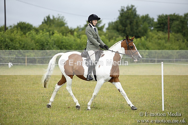 BVR160717-262 - Ring 1 BVRC Show 16/07/17