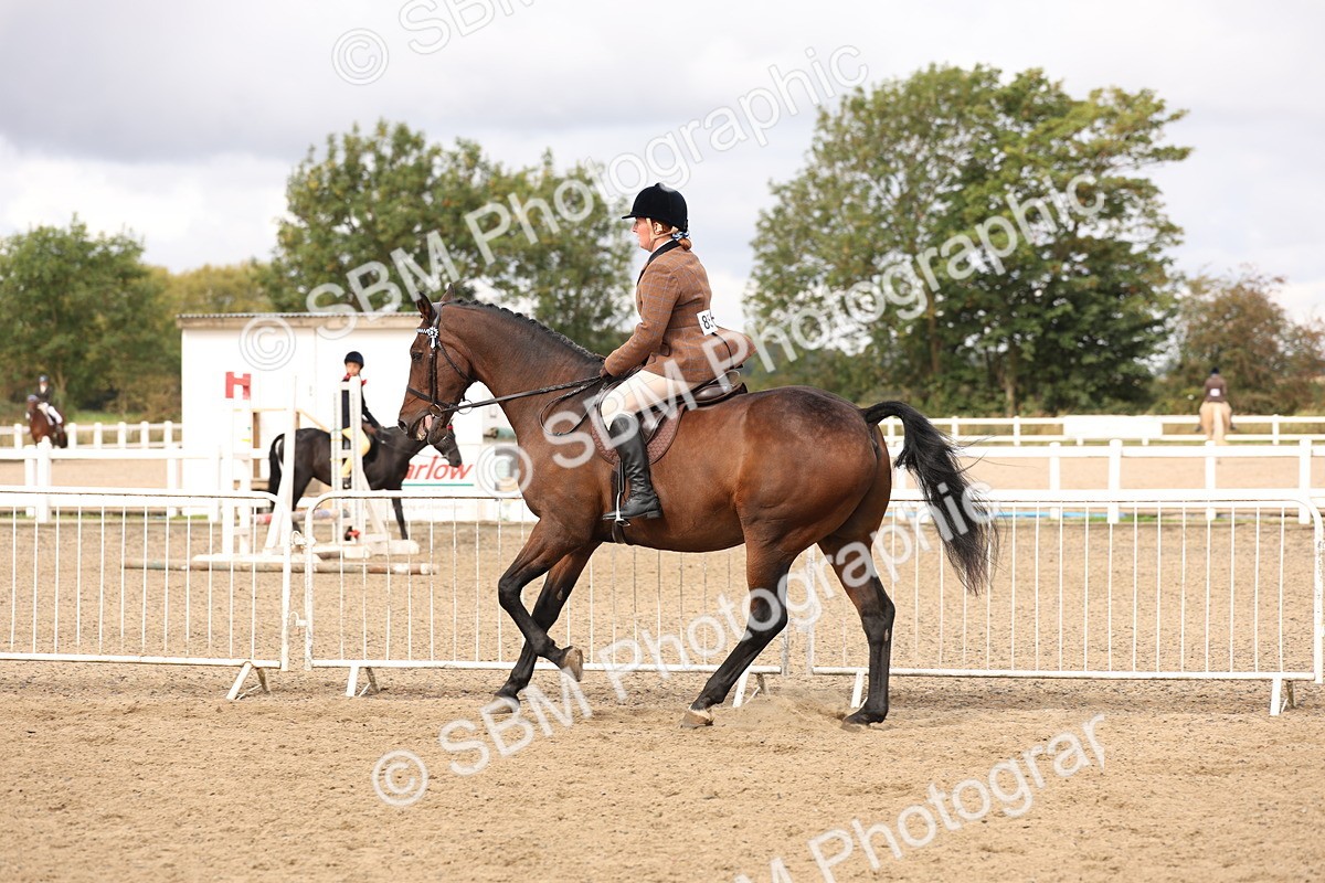 SBM_02833 - Class 53 - Ridden Competition Horse/Pony