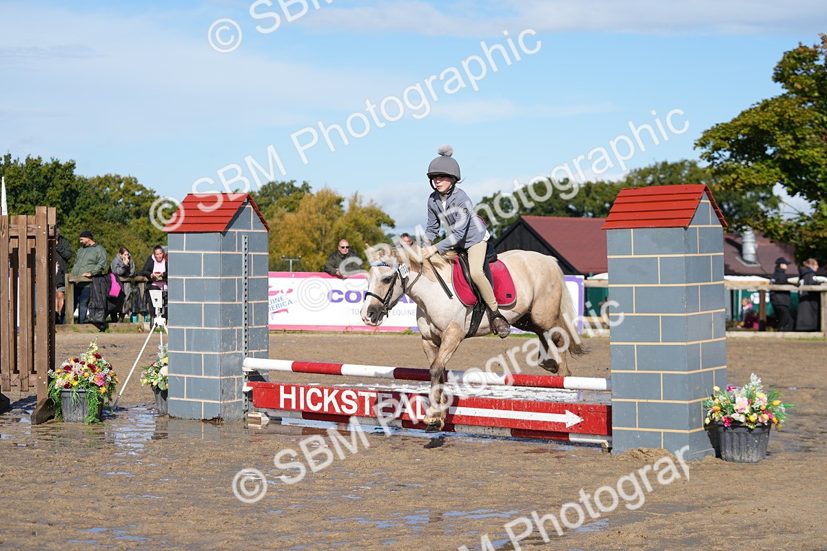 SBM_38302 - J6 - Junior Pony 55cm Championship