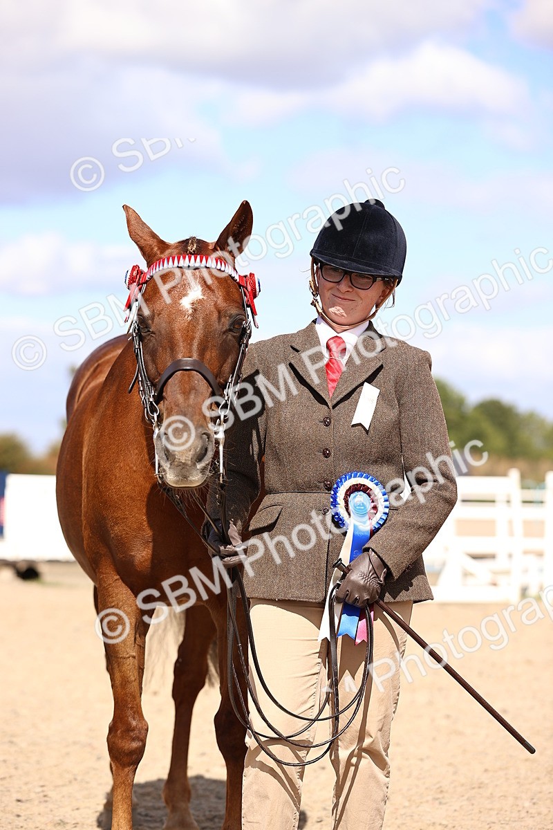 SBM_14321 - Class 411 - Prettiest Mare (IH OR Ridden) Adult