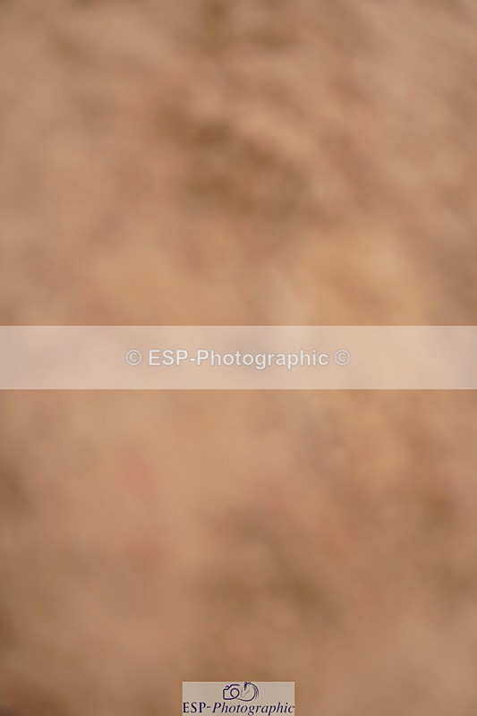 240506A-084158-07783 - Cls 11 Stepping Stones 128cm & 138cm