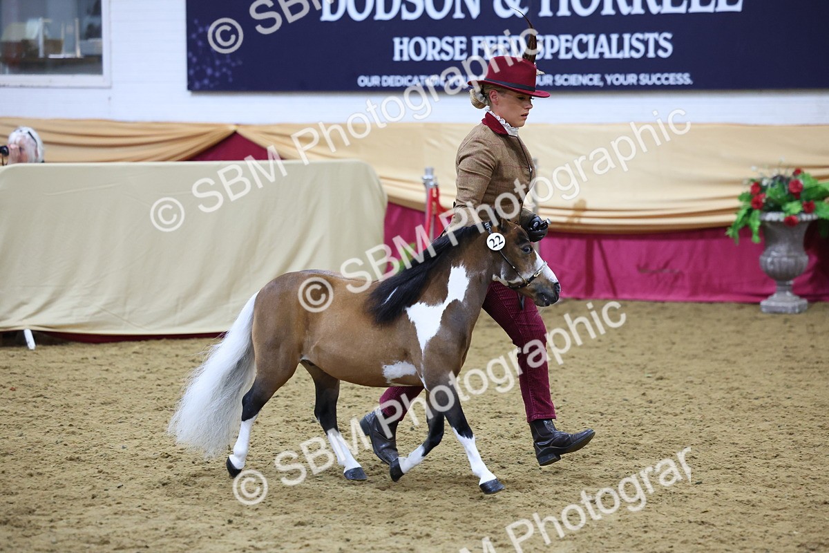 SBM_21037 - Class 902 - Supreme Final IH Veteran