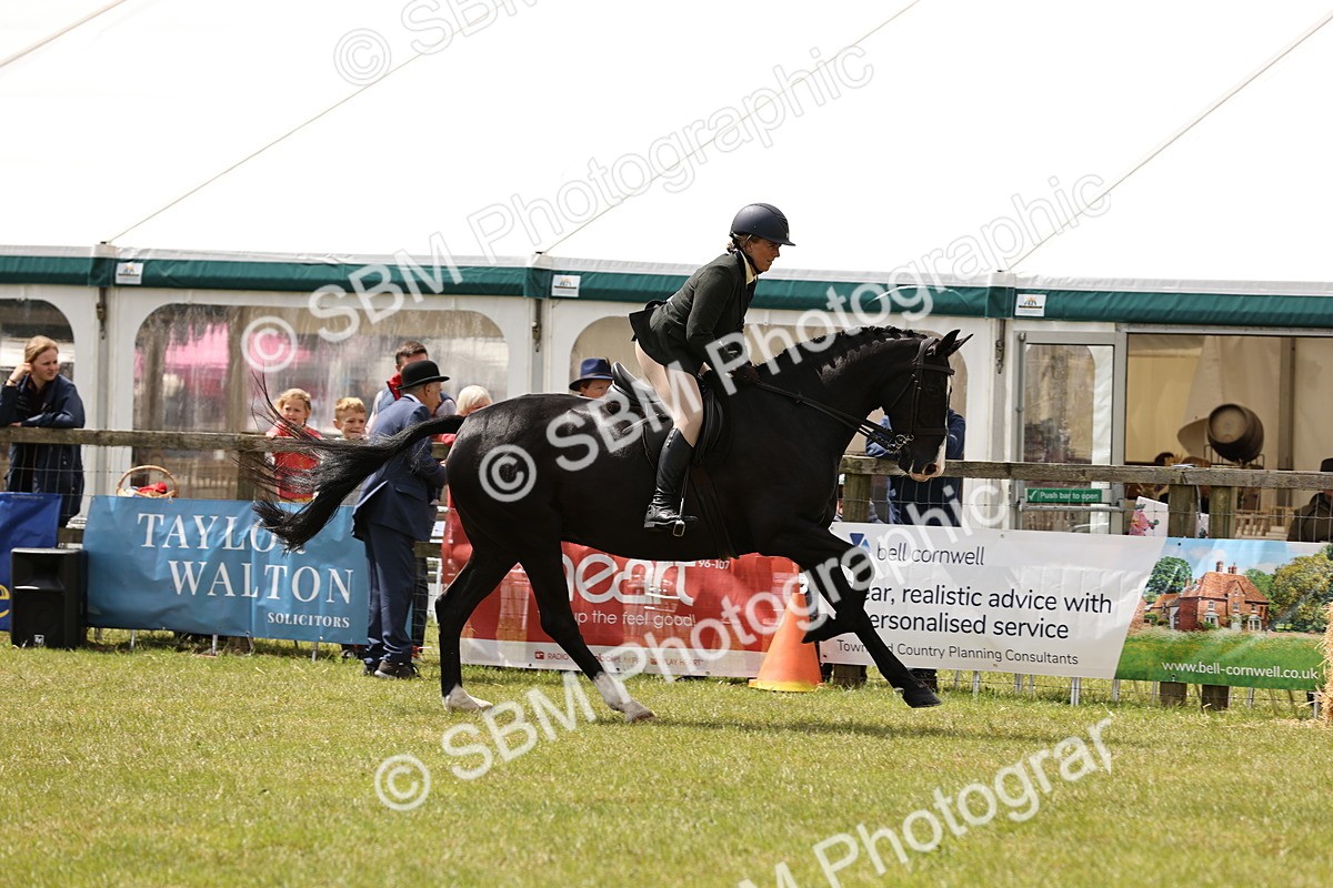 SBM_14583 - Class 88-89 - LIHS BSHA Rising Star of Ridden Hunter Type