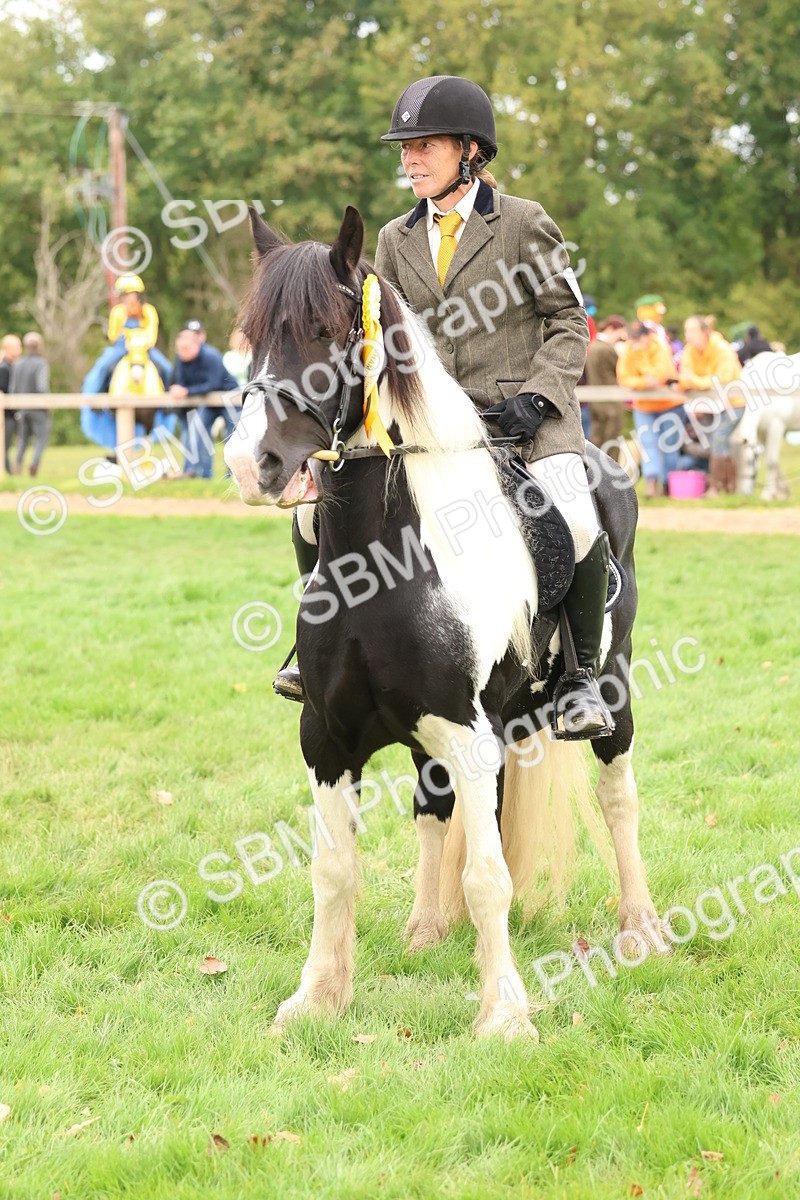 SBM_60008 - S36 - Rehabiliated Rescue Horse & Pony In Hand & Ridden
