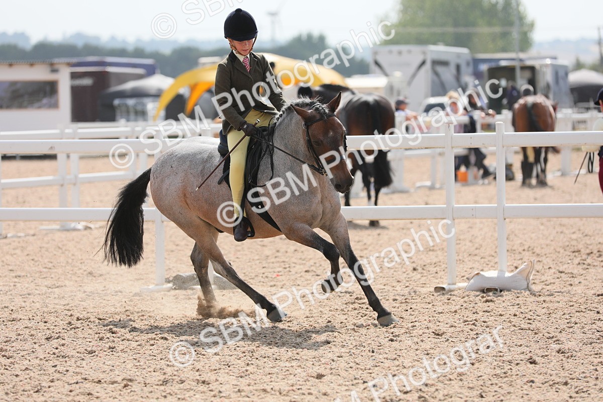 SBM_14745 - Class 310 First Ridden Pony
