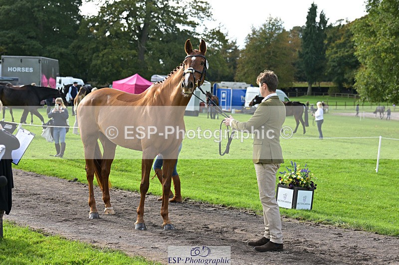 241023-132419-00264 - 017-Louis.Pern-CLASSICTOP.MISS.VIVIENNE