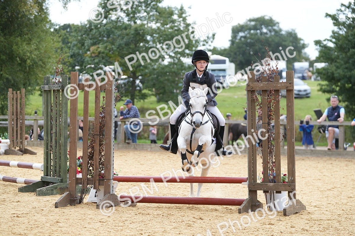 SBM_74784 - J4 - Mini Tour Junior Pony 45cm Championship