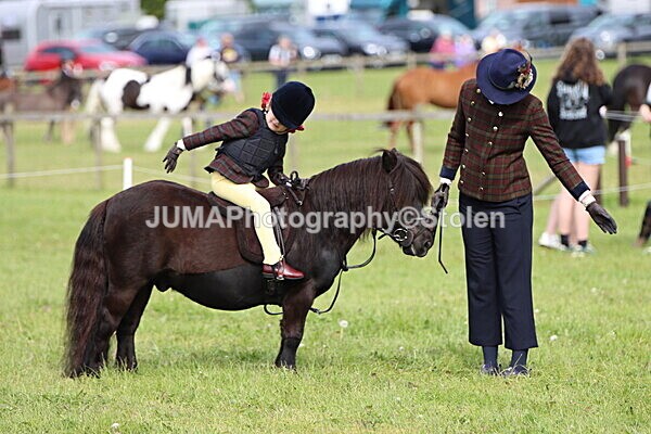 IMG_2262 - Working Hunter
