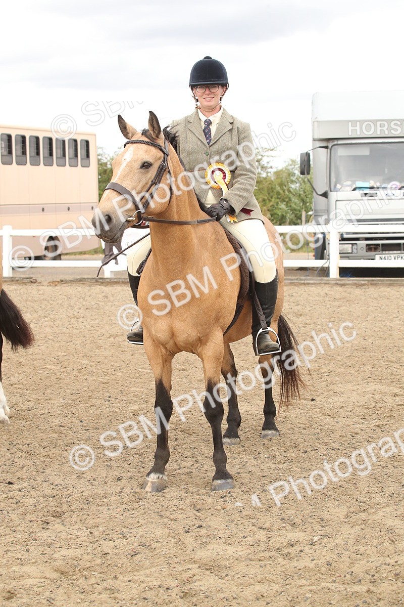 SBM_16700 - Class 507a - Working Veteran - 60cm (15-19)