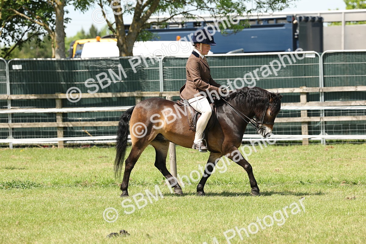 SBM_06792 - Class 26-30 - Mountain and Moorland Ridden