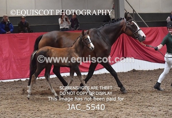 JAC_5540 - 13 Zi Real McCoy