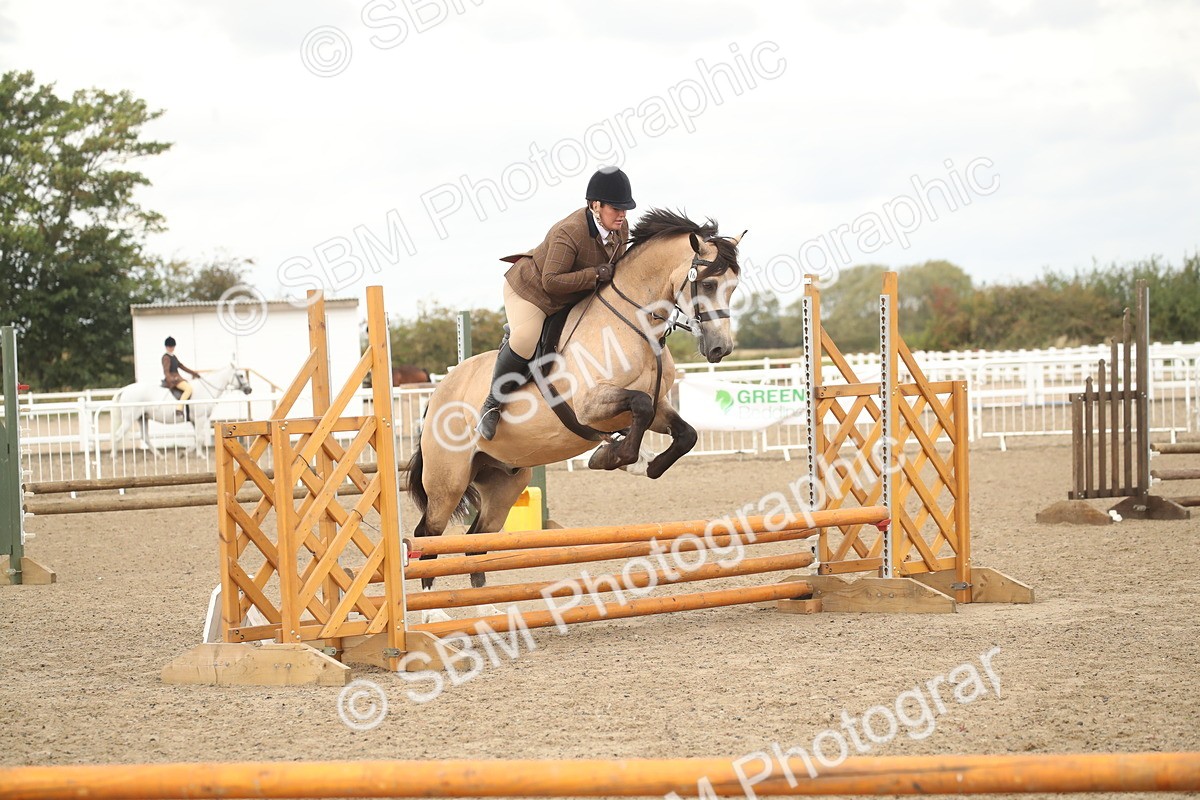 SBM_16678 - Class 507a - Working Veteran - 60cm (15-19)