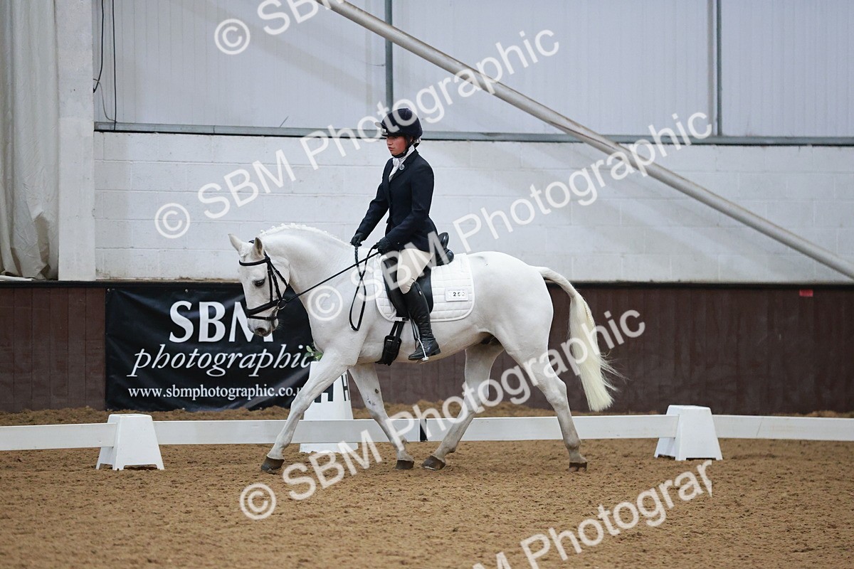 SBM_004513 - Ring 3 - International -  Working Hunter Classes 23-2-25