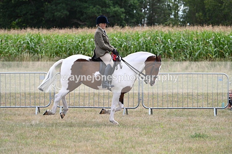 WJ7_5628 - Class 12 Ridden Cob